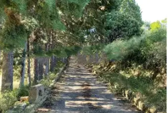 Rexer-Piazza-Armerina-Villa-in-vendita-in-strada-Provinciale-Piazza-Armerina-Terrazzo