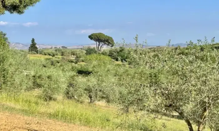 Rexer-Piazza-Armerina-Villa-in-vendita-in-strada-Provinciale-Piazza-Armerina-Terrazzo