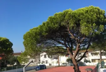 Rexer-Lecce-Villetta-posti-letto-in-villaggio-turistico-Altro
