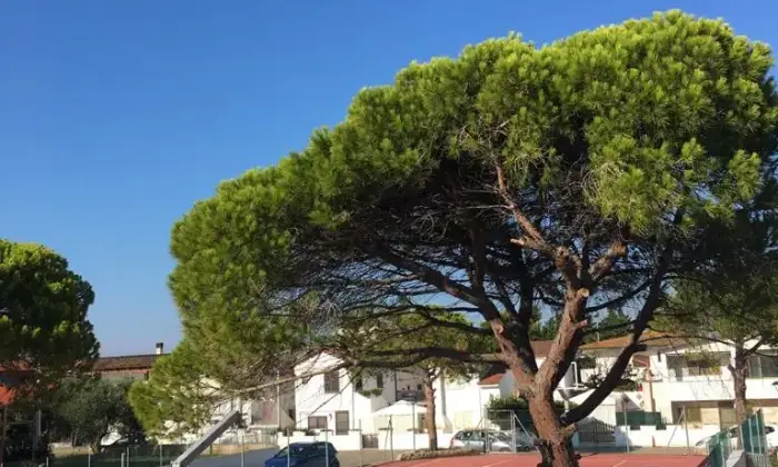 Rexer-Lecce-Villetta-posti-letto-in-villaggio-turistico-Altro