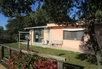 Rexer-Follonica-CIVILE-ABITAZIONE-PERTINENZA-VISTA-MARE-DA-RISTRUTTURARE-Giardino