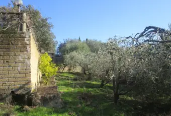 Rexer-Follonica-CIVILE-ABITAZIONE-PERTINENZA-VISTA-MARE-DA-RISTRUTTURARE-Giardino
