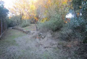 Rexer-Follonica-CIVILE-ABITAZIONE-PERTINENZA-VISTA-MARE-DA-RISTRUTTURARE-Giardino