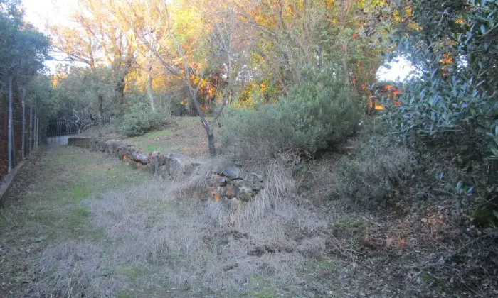 Rexer-Follonica-CIVILE-ABITAZIONE-PERTINENZA-VISTA-MARE-DA-RISTRUTTURARE-Giardino