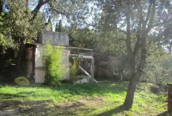 Rexer-Follonica-CIVILE-ABITAZIONE-PERTINENZA-VISTA-MARE-DA-RISTRUTTURARE-Giardino