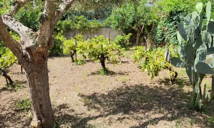 Rexer-Marsala-Villa-a-schiera-sulle-Saline-Giardino