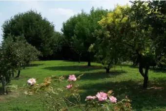Rexer-Gonzaga-Appartamento-su-due-piani-in-vendita-a-Gonzaga-Giardino