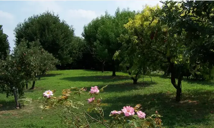Rexer-Gonzaga-Appartamento-su-due-piani-in-vendita-a-Gonzaga-Giardino