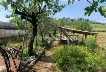 Rexer-Volpeglino-Colline-tortonesi-Casa-indipendente-con-orto-Giardino