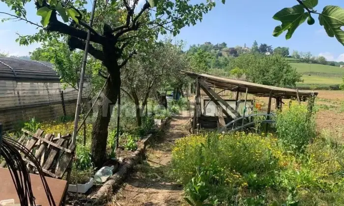 Rexer-Volpeglino-Colline-tortonesi-Casa-indipendente-con-orto-Giardino