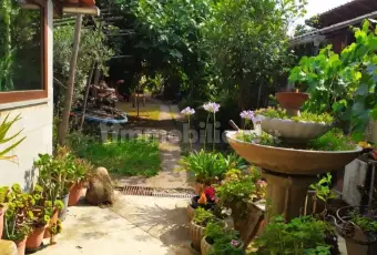 Rexer-Volpeglino-Colline-tortonesi-Casa-indipendente-con-orto-Giardino