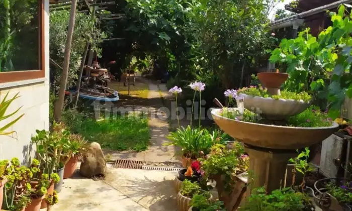 Rexer-Volpeglino-Colline-tortonesi-Casa-indipendente-con-orto-Giardino