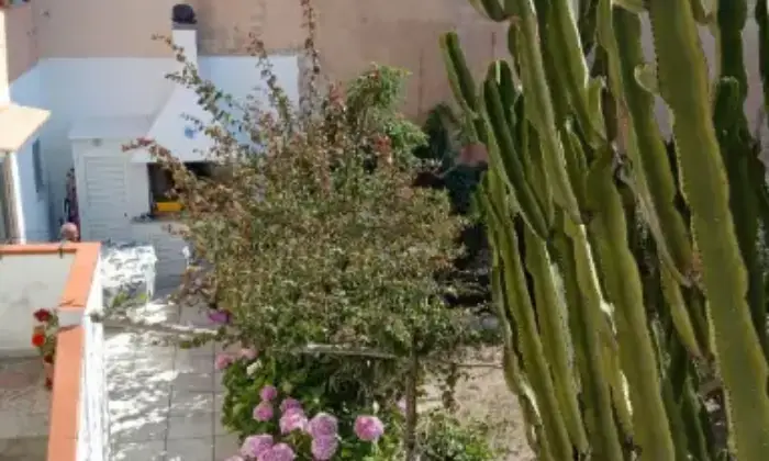 Rexer-Santa-Teresa-Gallura-Trilocale-in-vendita-in-via-Sonnino-Santa-Teresa-Gallura-Terrazzo