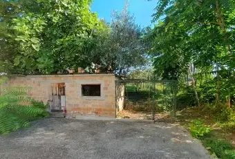 Rexer-Montalto-delle-Marche-Casa-singola-a-Montalto-delle-Marche-AP-Giardino