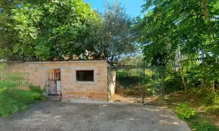 Rexer-Montalto-delle-Marche-Casa-singola-a-Montalto-delle-Marche-AP-Giardino