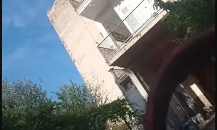 Rexer-San-Giorgio-Jonico-Intero-edificio-in-vendita-a-San-Giorgio-Ionico-Giardino