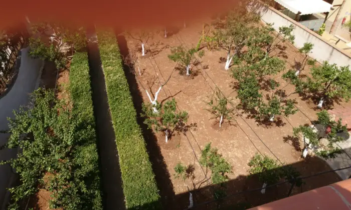Rexer-San-Vito-Lo-Capo-Vendesi-bifamiliare-Giardino