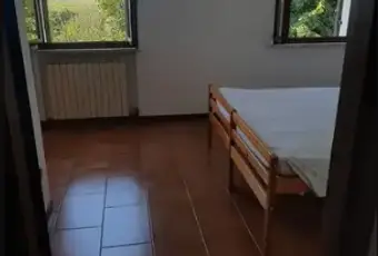 Rexer-Zimella-Vendesi-casa-bifamiliare-pi-terreno-e-giardini-a-ZIMELLA-Altro