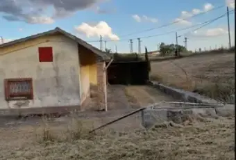 Rexer-Bisaccia-Vendesi-casa-indipendente-a-Bisaccia-AV-Giardino