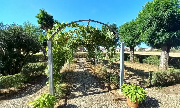 Rexer-Alessandria-Trifam-rist-n-garage-area-verde-terreno-Giardino