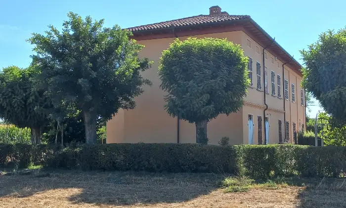 Rexer-Alessandria-Trifam-rist-n-garage-area-verde-terreno-Giardino
