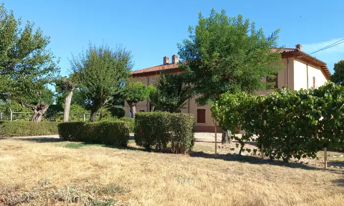 Rexer-Alessandria-Trifam-rist-n-garage-area-verde-terreno-Giardino