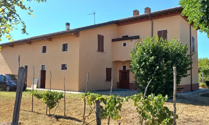Rexer-Alessandria-Trifam-rist-n-garage-area-verde-terreno-Giardino