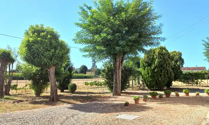 Rexer-Alessandria-Trifam-rist-n-garage-area-verde-terreno-Giardino
