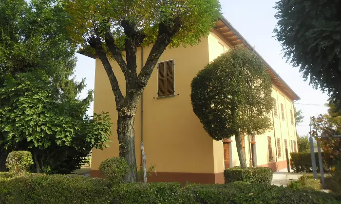Rexer-Alessandria-Trifam-rist-n-garage-area-verde-terreno-Giardino