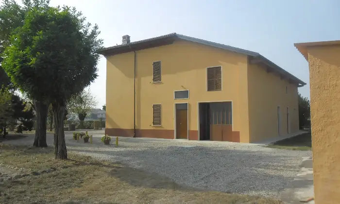 Rexer-Alessandria-Trifam-rist-n-garage-area-verde-terreno-Giardino