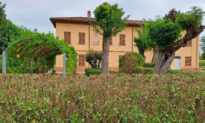 Rexer-Alessandria-Trifam-rist-n-garage-area-verde-terreno-Terrazzo