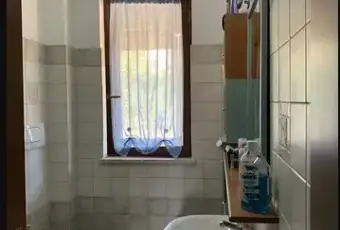 Rexer-Scansano-Trilocale-in-vendita-in-localit-Valletta-a-Scansano-Bagno