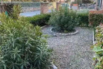 Rexer-Asciano-Vendesi-appartamento-piano-terra-Asciano-Giardino