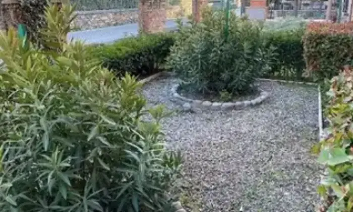 Rexer-Asciano-Vendesi-appartamento-piano-terra-Asciano-Giardino