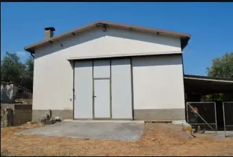 Rexer-Cerchiara-di-Calabria-Villa-in-vendita-a-Cerchiara-di-Calabria-Giardino