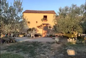 Rexer-Guspini-Immobile-in-vendita-in-localit-Pratzidus-a-Guspini-Terrazzo