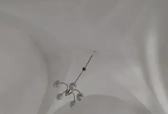 Rexer-Martina-Franca-Vendesi-trilocale-via-Gaetano-DonizettiCarmine-Piazza-Mario-PaganoMartina-Franca-Altro