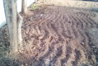 Rexer-Cabras-Terreno-Edificabile-vicinanze-ORISTANO-Prezzo-Regalo-Giardino