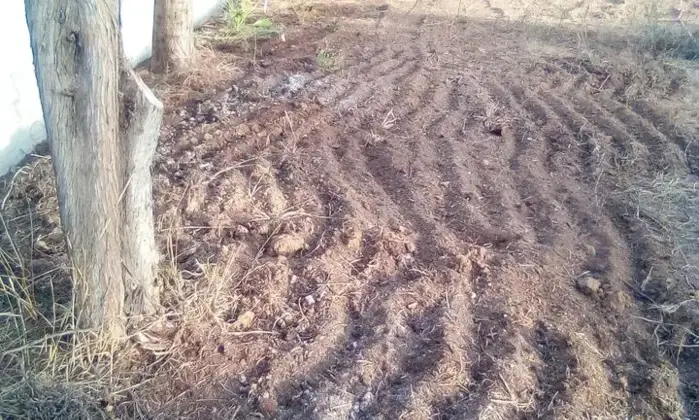 Rexer-Cabras-Terreno-Edificabile-vicinanze-MARE-Prezzo-Regalo-Giardino