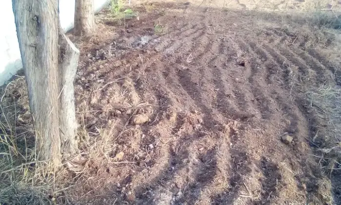 Rexer-Cabras-Terreno-Edificabile-vicinanze-ORISTANO-Prezzo-Regalo-Giardino