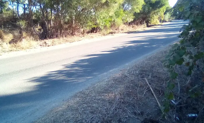 Rexer-Cabras-Terreno-Edificabile-vicinanze-MARE-Prezzo-Regalo-Altro