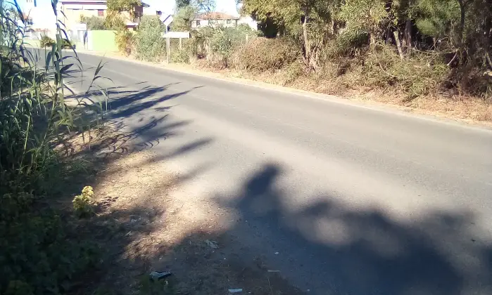 Rexer-Cabras-Terreno-Edificabile-vicinanze-MARE-Prezzo-Regalo-Altro