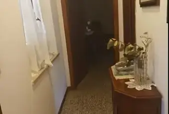 Rexer-San-Miniato-Vendesi-appartamento-in-Corazzano-a-SAN-MINIATO-PI-Altro
