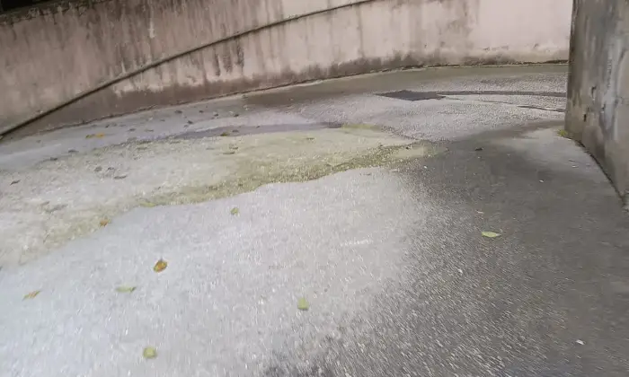 Rexer-Caserta-Duplex-vendesi-in-zona-servita-Altro