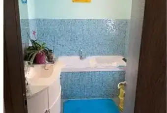 Rexer-San-Pietro-di-Morubio-Casa-indipendente-centro-San-Pietro-di-Morubio-VR-Bagno