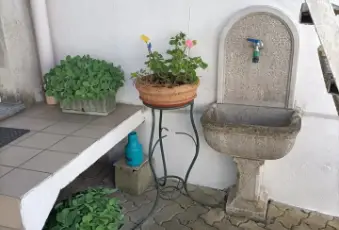 Rexer-Trino-Vendesi-Villa-con-giardino-baciata-dal-sole-Giardino