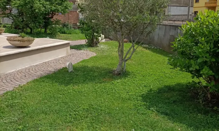 Rexer-Trino-Vendesi-Villa-con-giardino-baciata-dal-sole-Giardino