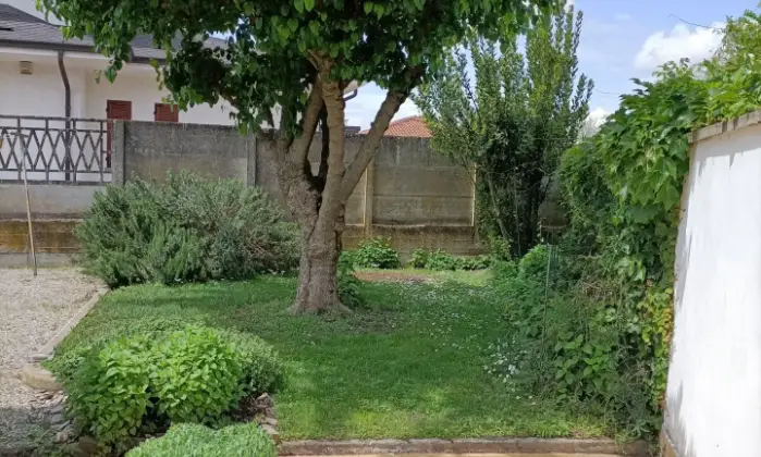 Rexer-Trino-Vendesi-Villa-con-giardino-baciata-dal-sole-Giardino