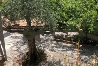 Rexer-Massarosa-Villa-bifamiliare-via-della-Migliana-Massarosa-Giardino