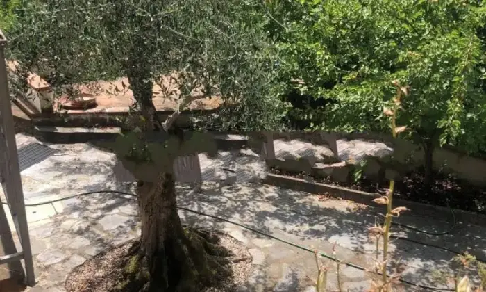 Rexer-Massarosa-Villa-bifamiliare-via-della-Migliana-Massarosa-Giardino